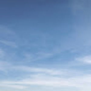 Meet your Posher, Ella